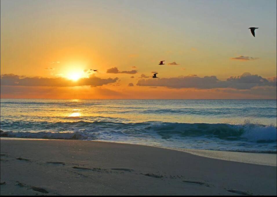 Amazing Beachfront Apartment Cancún Eksteriør bilde